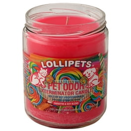 Pet Odor Exterminator Candle Sugar Skull Walmart