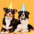 thumbnail image 4 of Cinta Bisanzoya con Huellas de Perro con Alambre, 2.5 pulgadas x 20 metros, 4 Rollos, 4 of 7