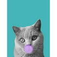 thumbnail image 2 of Phillip, Jamie 15x18 Black Modern Framed Museum Art Print Titled - Bubble Cat, 2 of 4