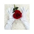 thumbnail image 4 of Unique Bargains Women Stretchy Opera Length Full Finger Gloves Pairs, 4 of 4