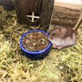 thumbnail image 2 of 2 Pcs Hamster Food Bowl Guinea Pig Ceramic Water Bowl Small Animal Feeding Dish for Dwarf Hamster Gerbil Syrian Ferret Chinchilla Hedgehog Bunny, 2 of 5