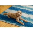 thumbnail image 3 of Linon Outdoor Washable Area Rug Collection, Ivory and Blue, 7' x 9', 3 of 9