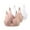 Beige, variant on 3PCS Lace Comfortable Wireless Bras for Women Full Coverage Push up Supportive Bralettes Solid Color Smooth Seamless Adjustable Straps Bras for Everyday Wear Watermelon Red 95C