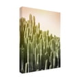 thumbnail image 2 of Trademark Fine Art 'Pink Sky Cactus' Canvas Art by Lexie Gree, 2 of 3