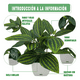 thumbnail image 3 of 4 Macetas Plantas Artificiales Macetas Decorativas Bonsai Lab.G, Blanco, 3 of 5