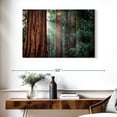 thumbnail image 3 of Elephant Stock Sunkissed Sequoia Trees Wall Art - Horizontal Canvas Wall Art - Living Room Wall Decor - Floral And Botanical Canvas - Green And Brown Decor - 39" x 26", 3 of 8