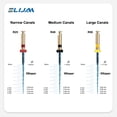 thumbnail image 5 of 2025 6 piezas/caja NITI Limas de calor azules reciprocantes dentales R25 25 mm Denspay Motor dental Use solo una lima Limas de conducto radicular rotatorias, 5 of 5
