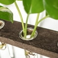 thumbnail image 2 of Gowinsee Plant Propagation Tubes with Wooden Stand and 15 Test Tubes (3 Count), 2 of 6