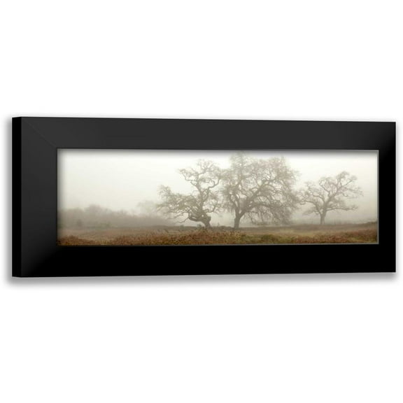 Blaustein, Alan 14x7 Black Modern Framed Museum Art Print Titled - Oak Tree - 59