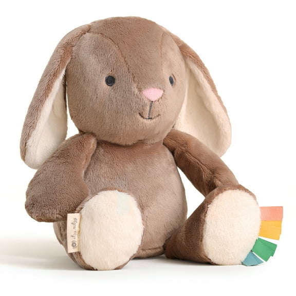 Itzy Ritzy Sweetie Snuggles™ Plush Taupe Bunny