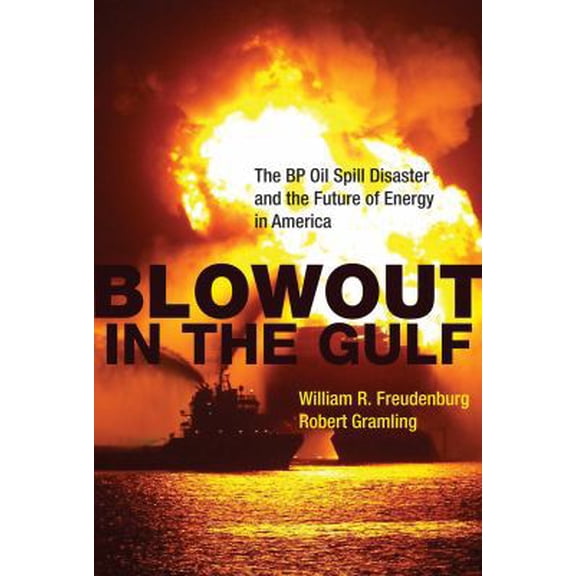 Pre-Owned Blowout in the Gulf: The BP Oil Spill Disaster and the Future of Energy in America (Hardcover) 0262015838 9780262015837