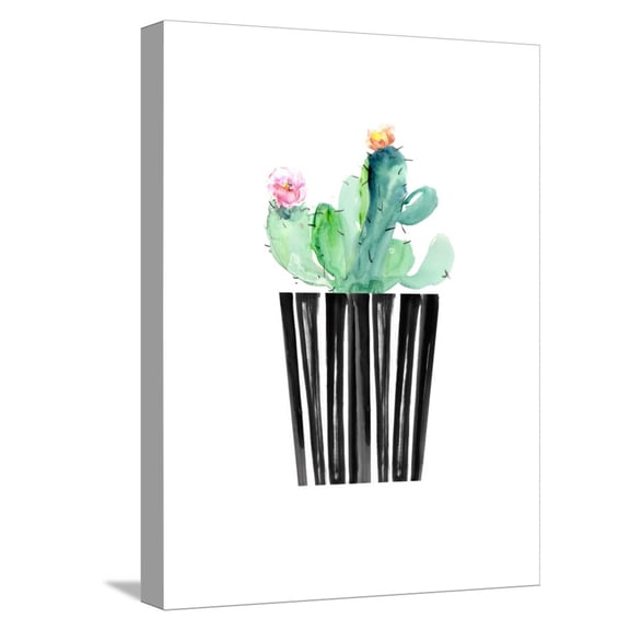 Art.com Nice Cactus Stretched Canvas Print Wall Art by Dakota London, 12" x 16"