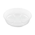 thumbnail image 2 of Clear Plant Saucers, 6, 8, 10 Inch Plant Saucer Drip Tray, Plastic Planter Flower Pot Saucers, Plant Water Catcher Tray for Indoors Outdoors Flower Pot, No Holes, 2 of 6