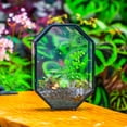 thumbnail image 5 of NCYP 6x8 inches Octagon Shaped Stainless Steel Glass Enclosure Terrarium with Mesh and Side Opening Door, for Jumping Spiders, Insects (Terrairum Only), 5 of 13