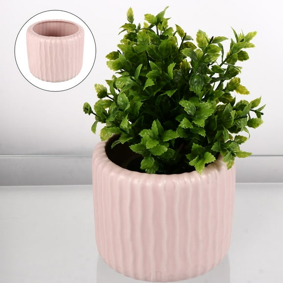 Worgeous  Succulent Flower Pot Garden Blush Decor Ceramics Plant Pots Pink