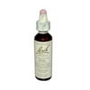 Bach Original Flower Remedies, Pine for Self Respect, 20mL Dropper