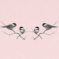 thumbnail image 2 of CafePress - Chickadee Song Bird Long Sleeve T Shirt - Long Sleeve Infant T-Shirt, 2 of 2