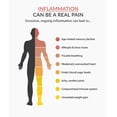 thumbnail image 2 of Organixx Joint & Muscle Care Joint Support Supplement 3-in-1 Inflammatory Support Formula with Turmeric, Frankincense & Myrrh, Helps with Flexibility, 60 Capsules, 2 of 6