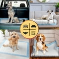 thumbnail image 3 of Brilliance Puppy Training Pads, 6-Ply Mess-Free Disposable Dog Pee Pads, XXL, 30” x 36”, 60-Pack, 3 of 8