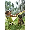 thumbnail image 3 of Eagles Nest Outfitters SingleNest Hammock, 3 of 9