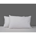 thumbnail image 4 of Living Health Products DDA-FU-King Three Chamber Down Pillow - King (20 x 36), 4 of 6