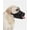 Black, variant on Dog Muzzle, Soft Air Mesh Muzzle for Small Dogs Anti Biting Barking Chewing, Breathable Drinkable Adjustable Loop Pets Muzzles,Black XS