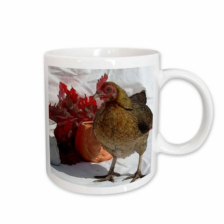 

3dRose Fall Chicken Ceramic Mug 11-ounce