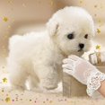 thumbnail image 3 of 2026 New Robot Dog – Nicco Realistic Robot Puppy, Cute Walking Barking Tail-Wagging Plush Pet Dog Toy, Lovely Christmas Birthday Gift for Pet Lovers (Battery not Included), 3 of 8