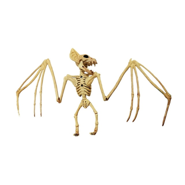 Esqueleto de Halloween Colgando Hueso de murciélago Calavera de animal espeluznante yeacher