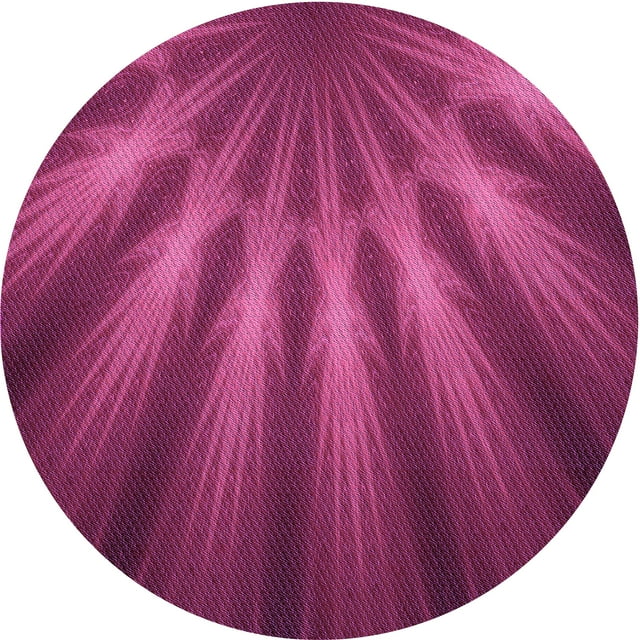 Ahgly Tapis Rond Lavable en Machine Intérieur Transitionnel Rose Néon, 4 Pieds Rond