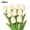 Milky White, variant on Limei Floral Simulation Eco-friendly 5Pcs Reusable Artificial Flower Plants Realistic Presentable for Office