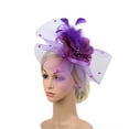 thumbnail image 4 of MSJUHEG Tea Party Hats,Feather Hair Clip,Feather Headpiece,Church Hats,Fascinators Hats,Handmade Hair Clip Feather Wedding Fascinator Headpieces Purple One Size, 4 of 6