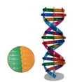 thumbnail image 2 of SHISUYAN 1Pack Multi Color DIY DNA Double Helix Model For Early Education Science Experiment Tools, 2 of 8