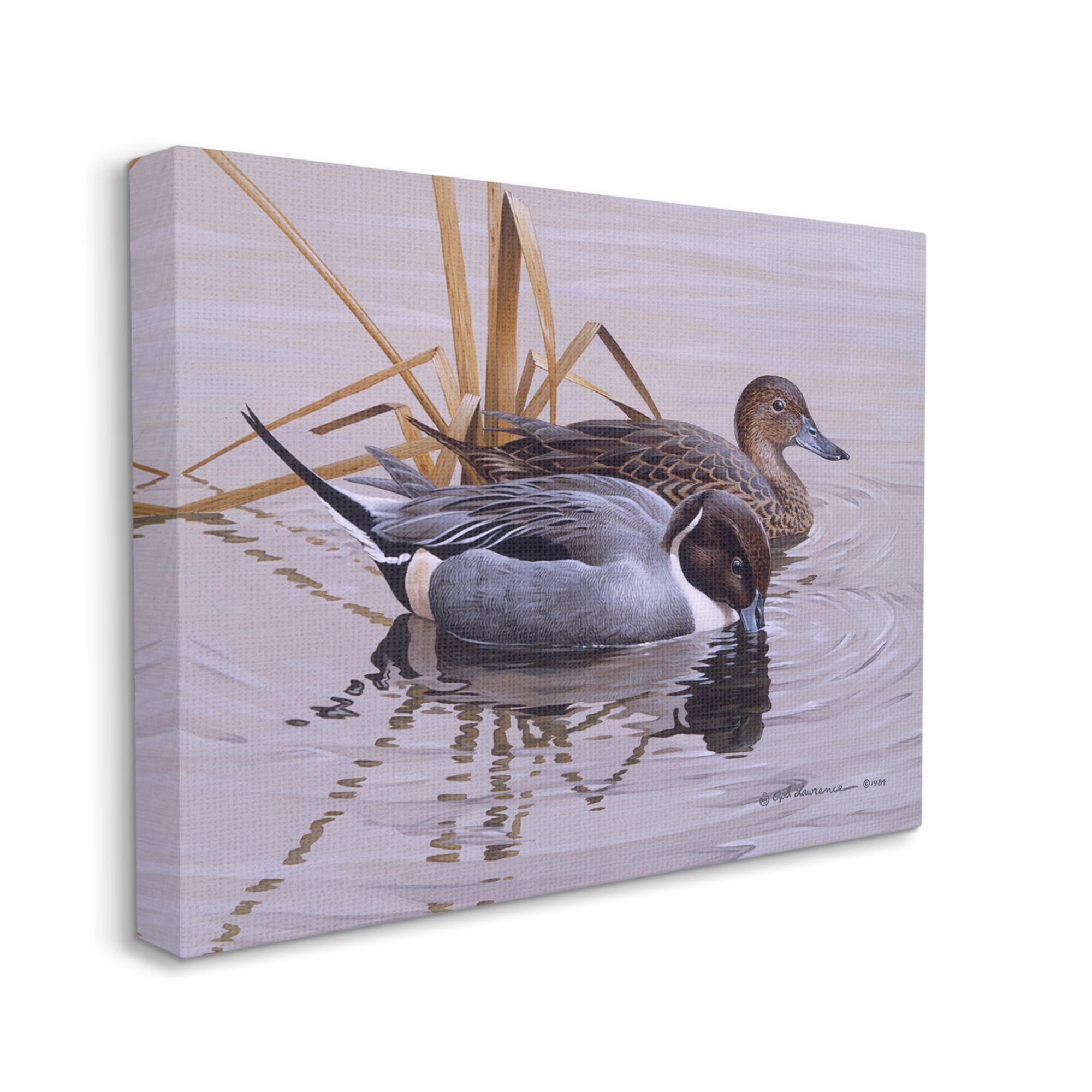 Stupell Industries Ducks with Pond Ripples Animals & Insects Painting Gallery Wrapped Canvas Art Print Wall Art, 20 x 16