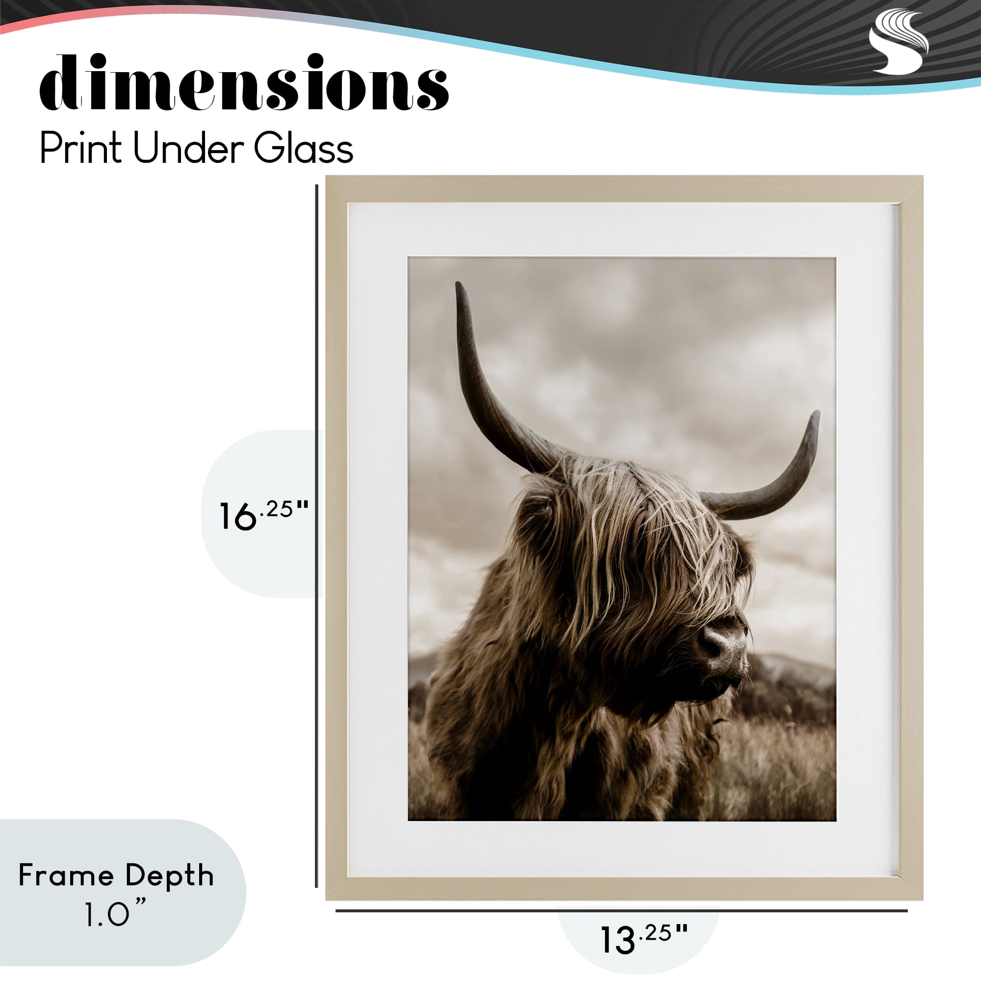Stupell Industries Highland Cow on Windswept Moor Birch Framed Print Under Glass, design by CAD Designs