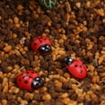 thumbnail image 2 of NICEXMAS 200Pcs Red Ladybird Decor Figurines for Home Office Car Plant Decoration, 2 of 8