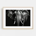 thumbnail image 2 of Elephant - Photography Wildlife Black and White Animal Nature Portrait Moody Unframed Wall Art Print 20 x 28 inches, 2 of 7