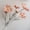 Complexion, variant on 18 Colors Fake Cosmos Galsang Flowers, Artificial Silk Wildflowers with Long Stems, No Maintenance Faux Flowers for Wedding Bouquet Table Centerpiece Home Decor -Dark Purple