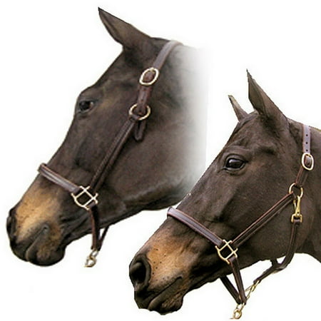 Combination Leather Halter - Intrepid International Classic Combination Leather Halter Oversize
