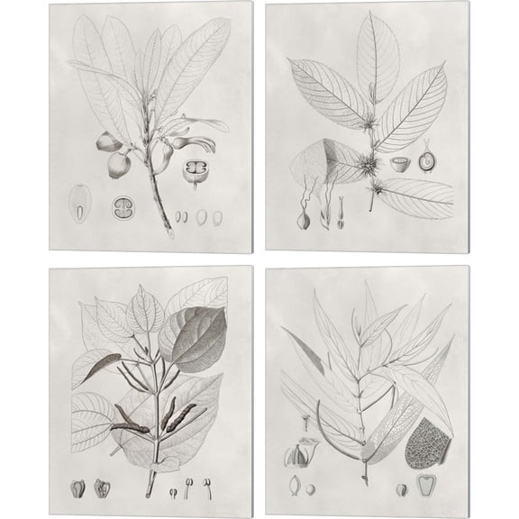 Great Art Now Vintage Leaves by Vision Studio 4 Piece Canvas Art Set Each 12"W x 15"H