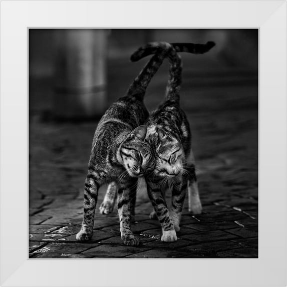 Nebula 15x15 White Modern Wood Framed Museum Art Print Titled - Untitled