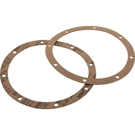 Gasket, 2 Pack, Hayward, 7-1/4" Diameter, Round SPX1048DPAK2