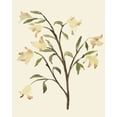 thumbnail image 2 of Warren, Annie 15x18 White Modern Wood Framed Museum Art Print Titled - Blest Branch I, 2 of 4