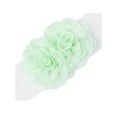 thumbnail image 2 of Cinturón elástico de doble flor de chiffon grande para mujer INSPIRE CHIC, corsé ancho elegante para vestido, 26.8x2.4 pulgadas, verde menta claro, 2 of 6
