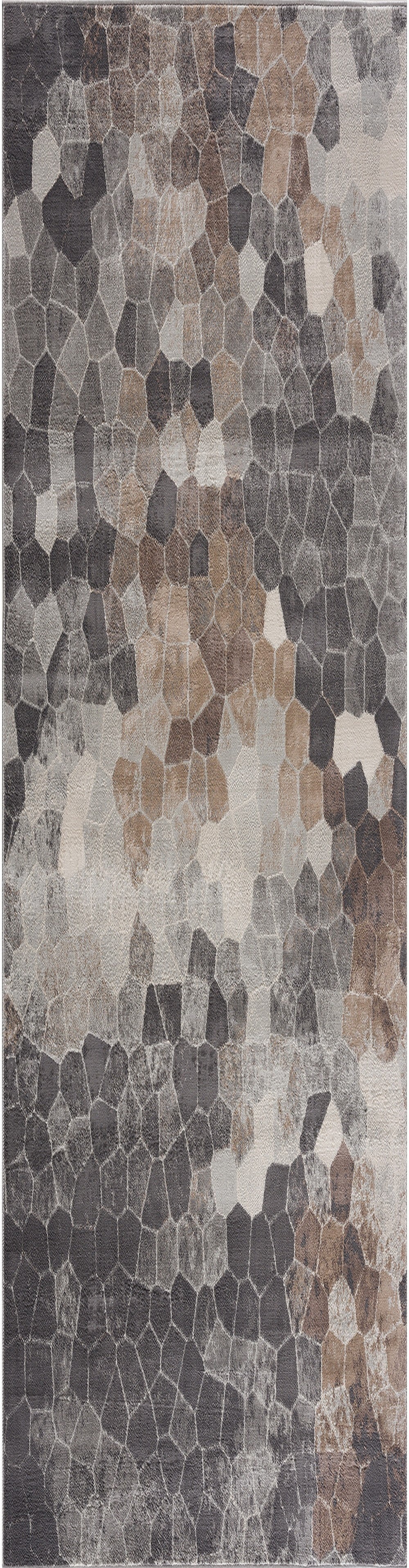 Rug Branch Havana Collection Traditional Distressed Area