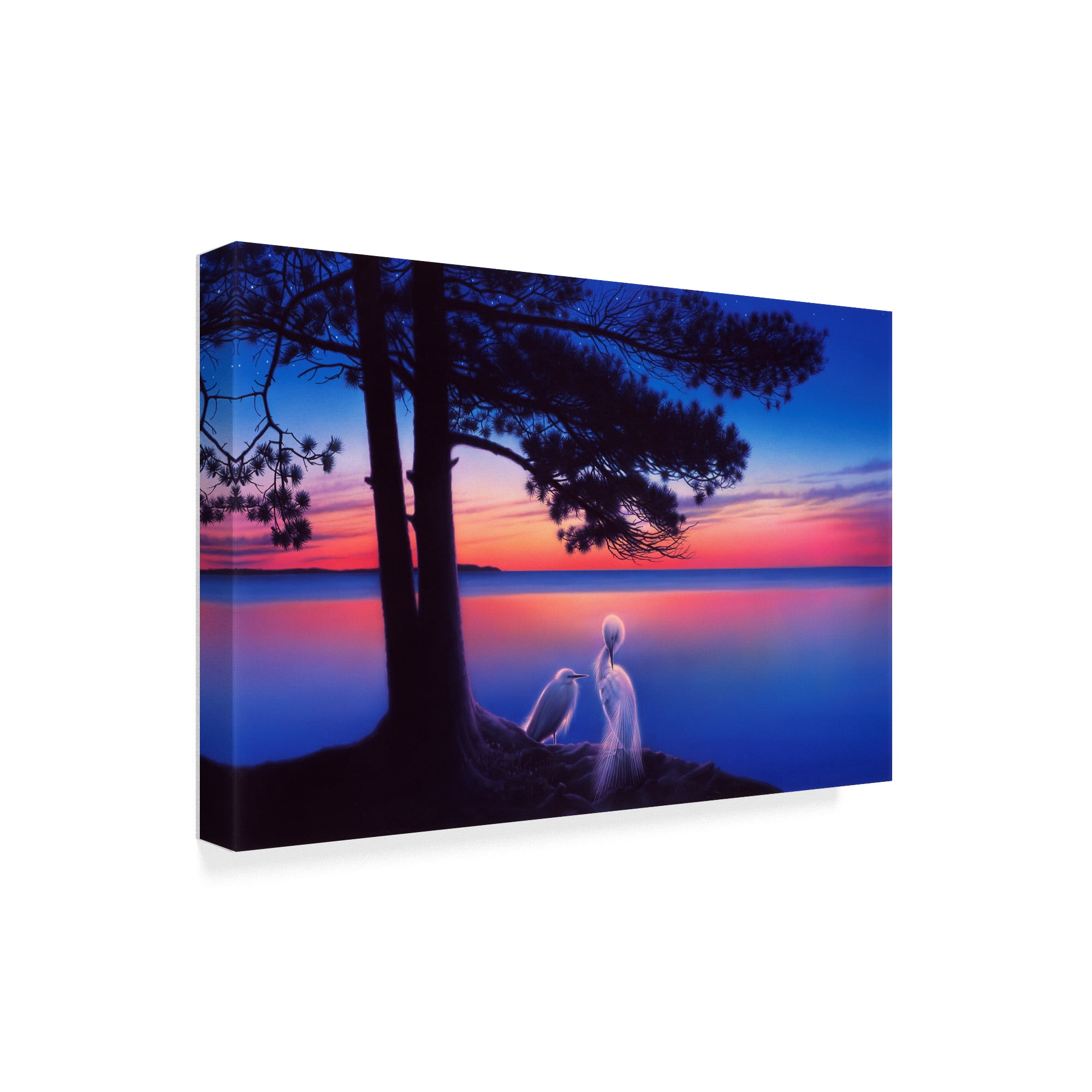 Trademark Fine Art 'Serenity' Canvas Art by Kirk Reinert