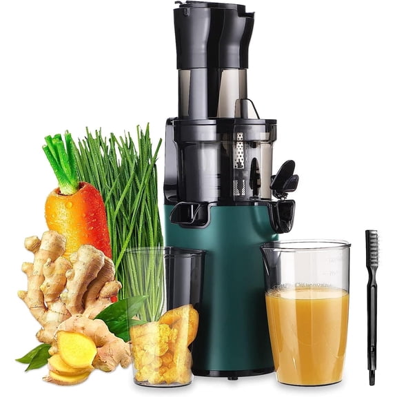 Inkbirdplus Extracteur de Jus Lent Compact 200 W, Extracteur de Jus Électrique à Froid 800 ml, Goulotte Grand de 3,1 Po