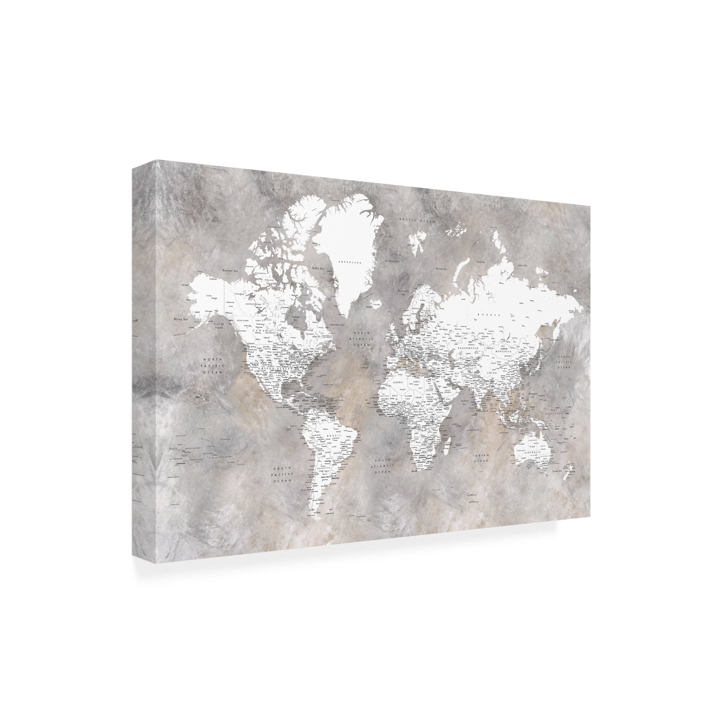 Rosana Laiz Blursbyai 'Detailed world map with cities Vali' Canvas Art
