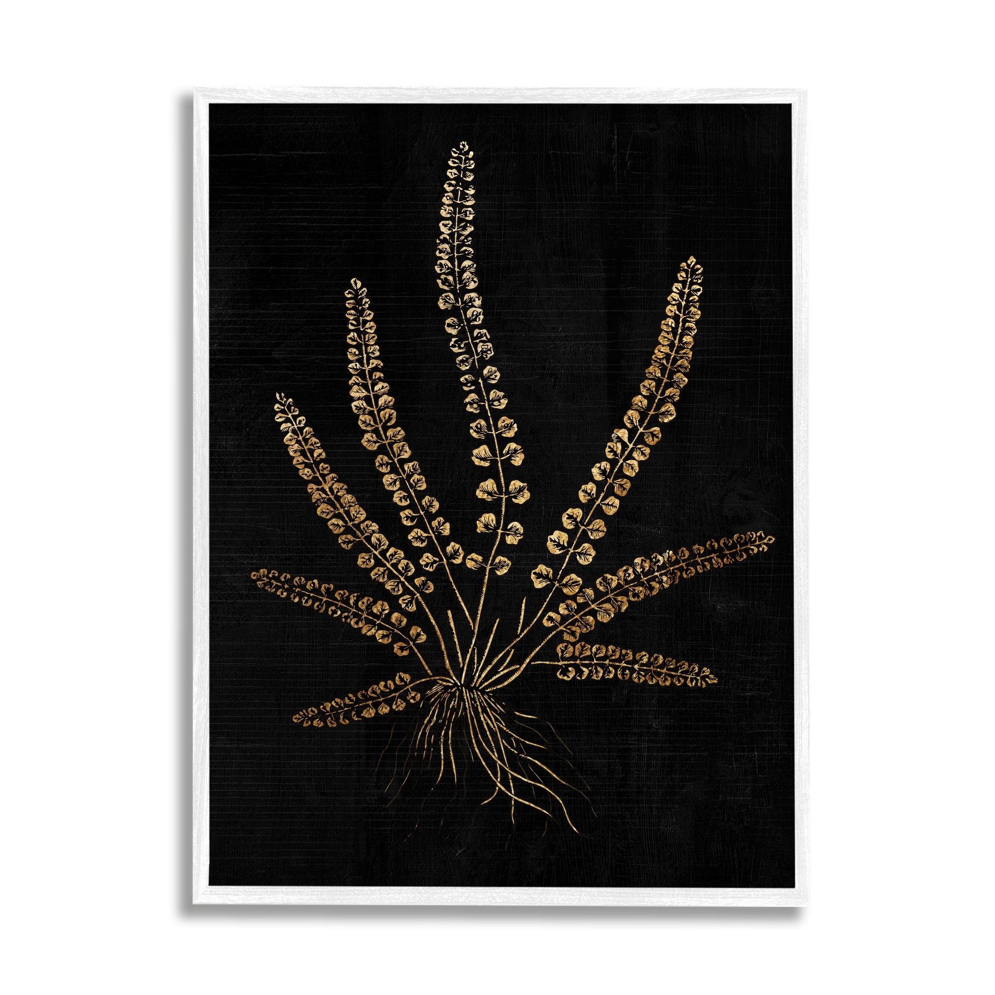 Stupell Industries Vintage Fern Blades Rooted Forest Plant Illustration, 24 x 30, Design by Daphne Polselli