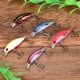 thumbnail image 5 of Señuelos de pesca Jadeshay 5 piezas ABS Mini Minnow, 5 of 11